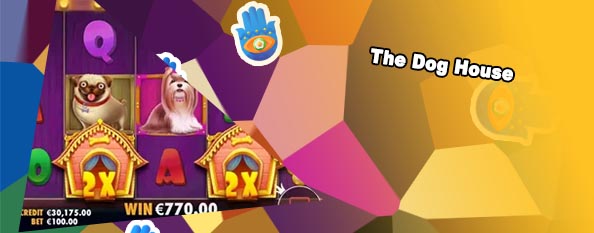 Dog house casino free